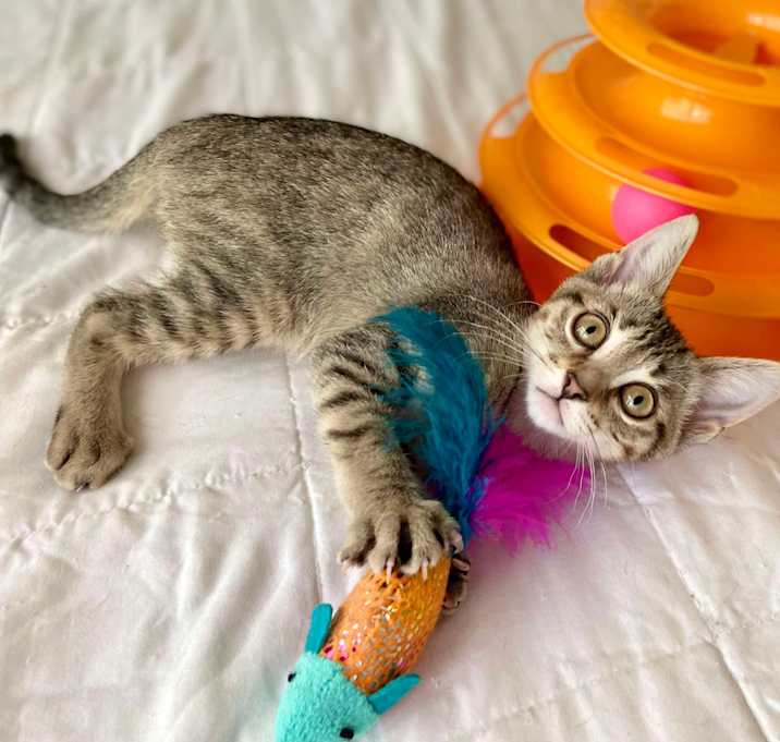 Photo of Abby
