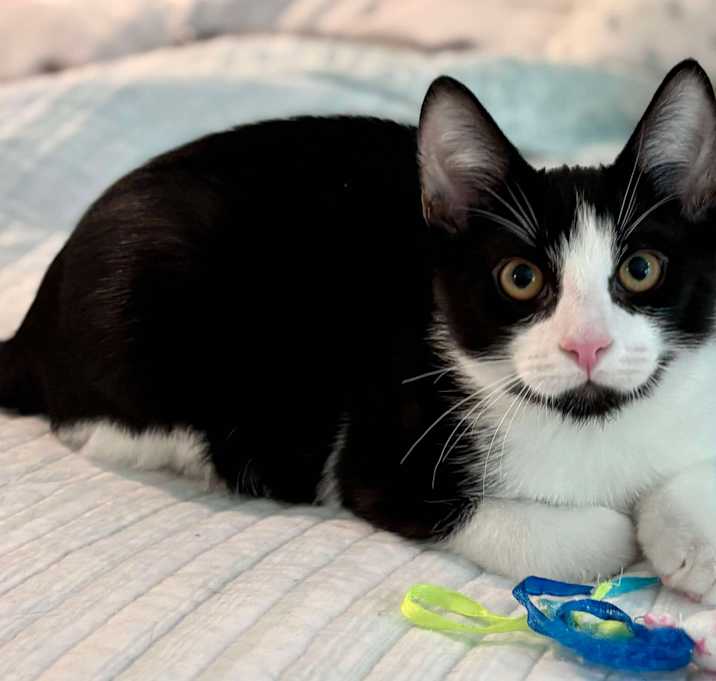 Photo of Tippy