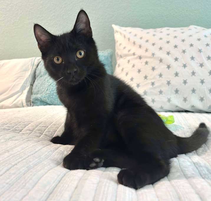 Photo of Buttons