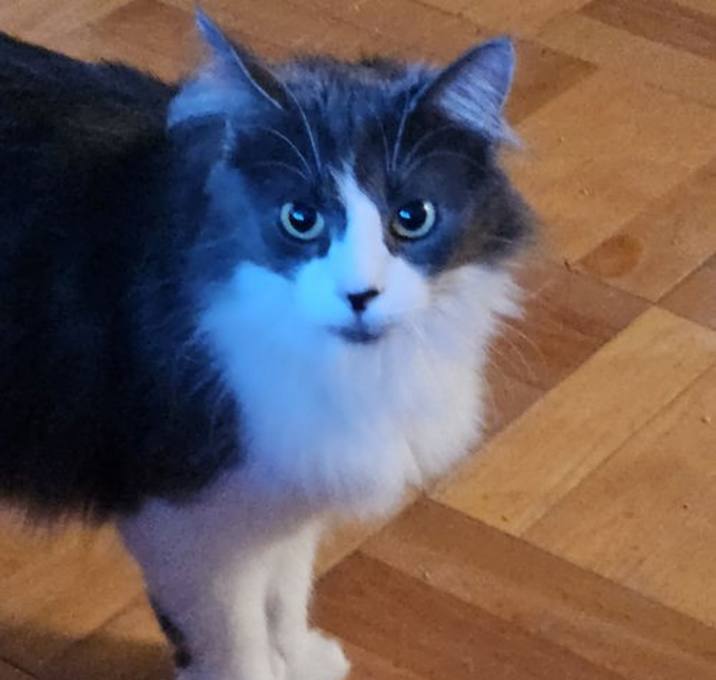 Photo of Zoé