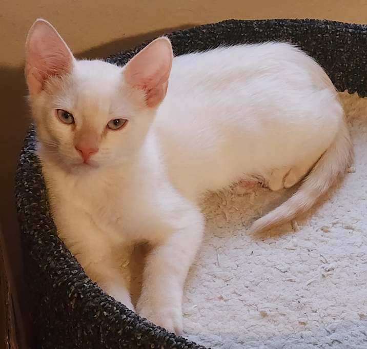 Photo of Button