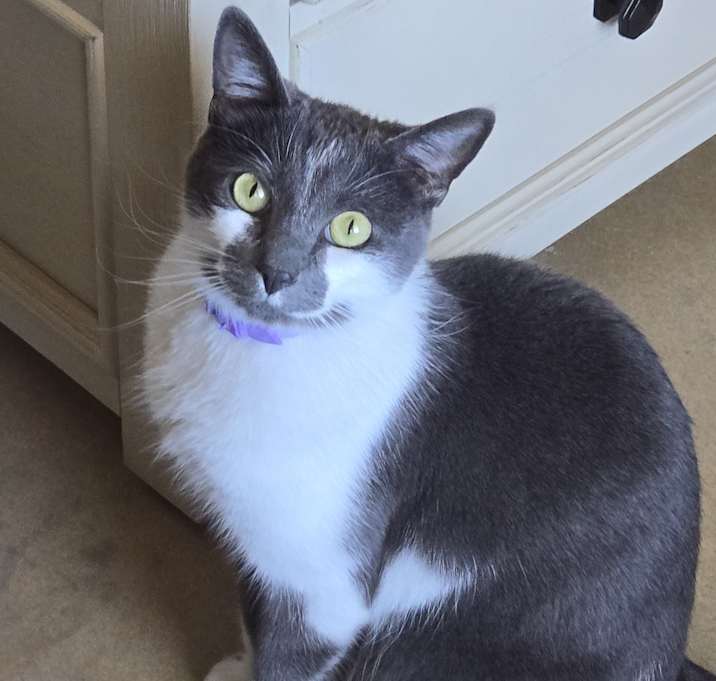 Photo of Leia