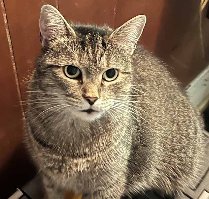 Photo of Lucy