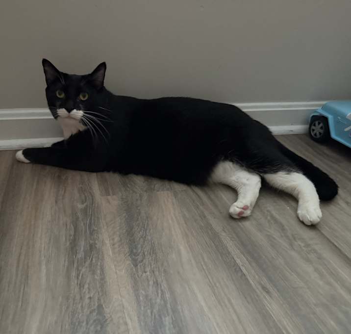 Photo of Mickey