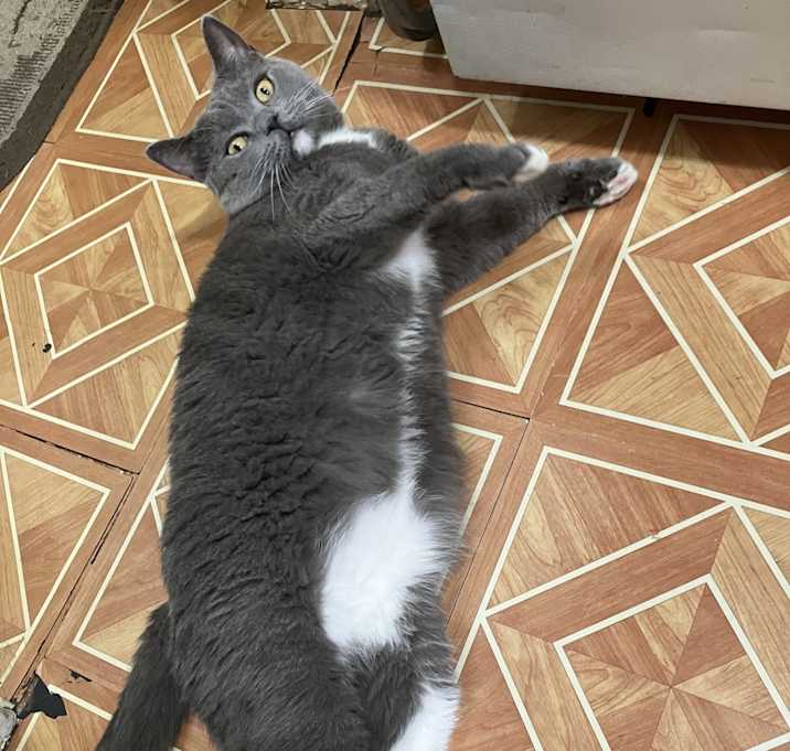 Photo of Ash