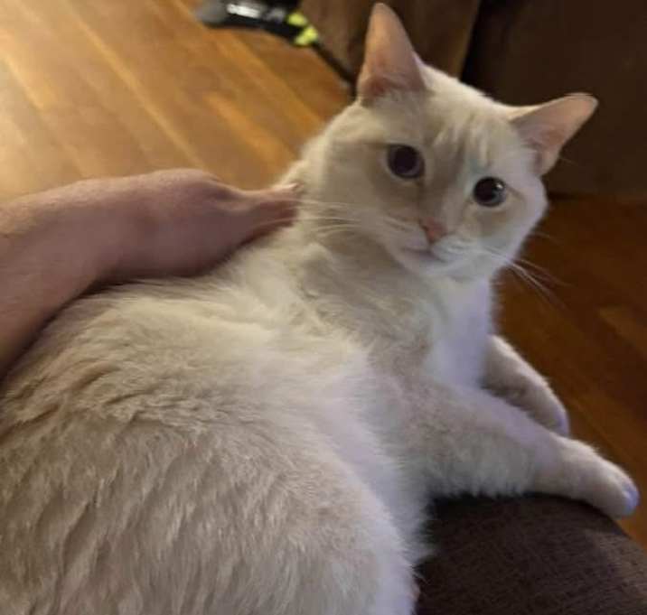 Photo of Charlie