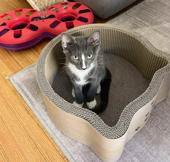 Photo of Spud. Handsome & Sweet Videos