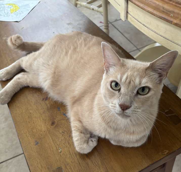 Photo of Gray