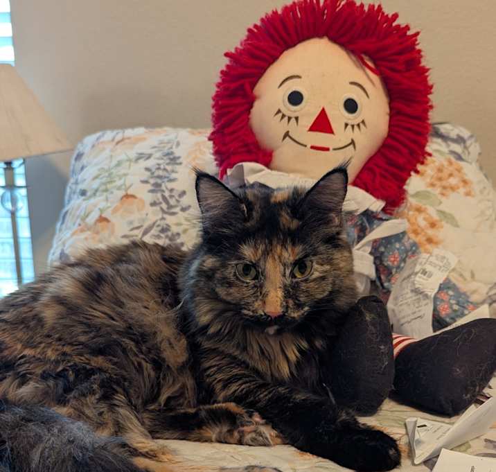 Photo of Daphne