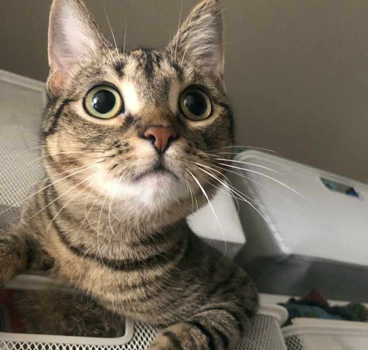 Photo of Trudy
