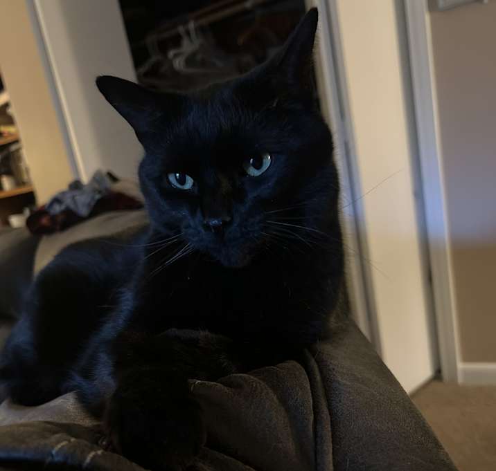 Photo of Salem