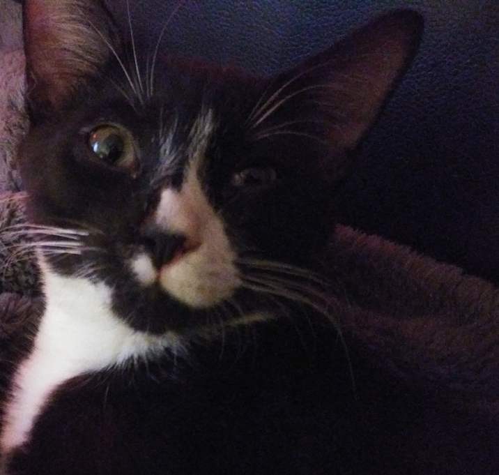 Photo of Vinnie