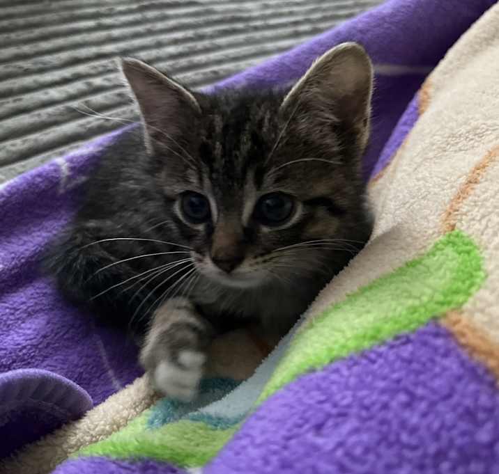 Photo of Tom