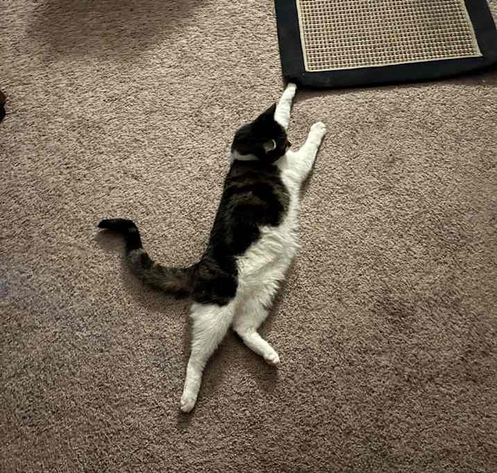 Photo of Lexy