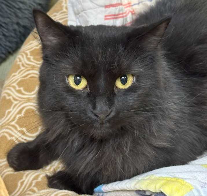 Photo of Claire Bear