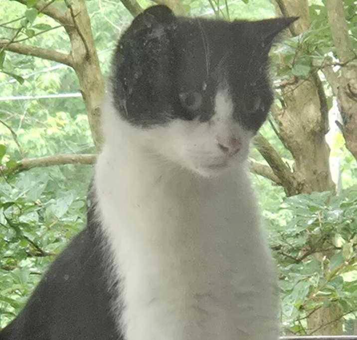 Gabby