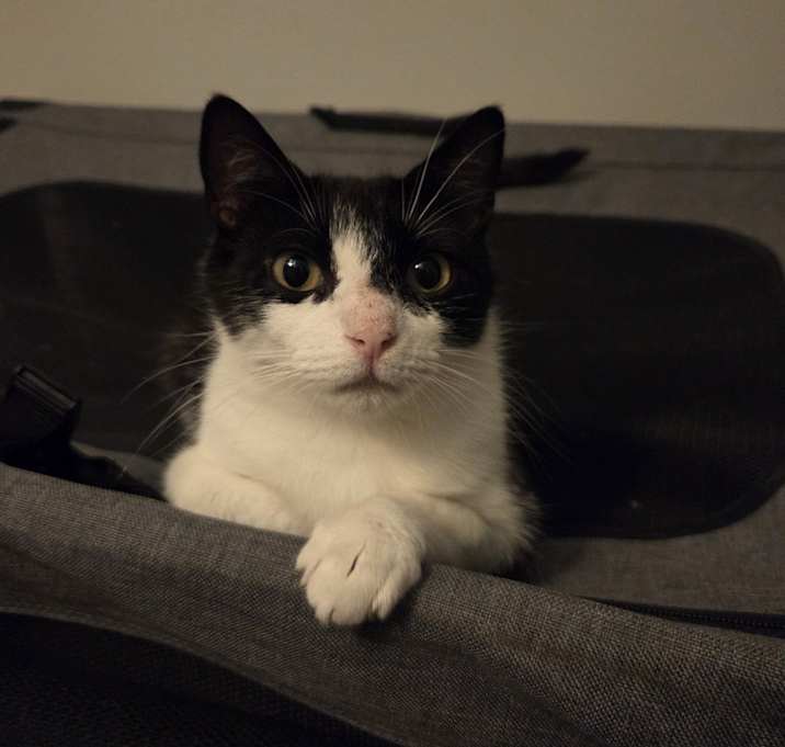 Gabby