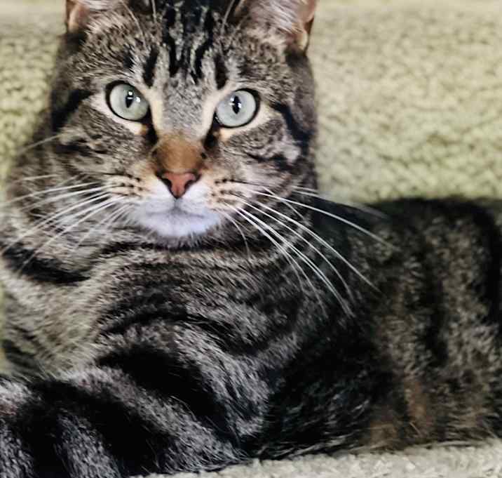 Photo of Duke