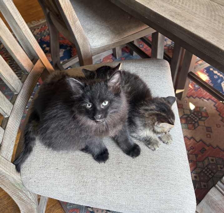 Photo of Baby Boy