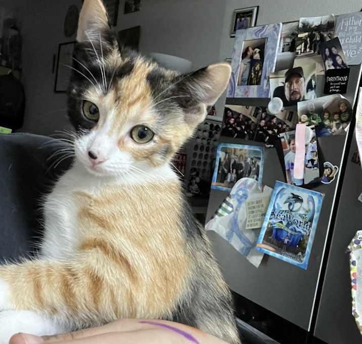 Photo of No name yet