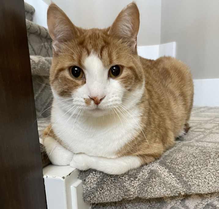 Photo of Oliver