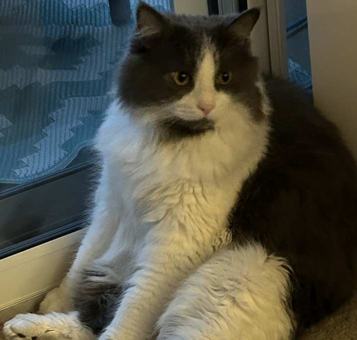 Photo of Sammy