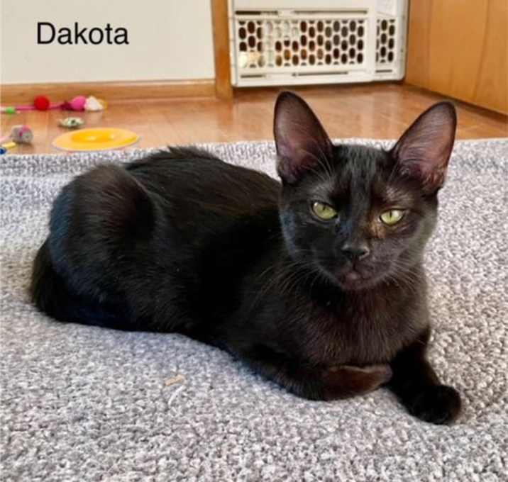 Photo of Dakota