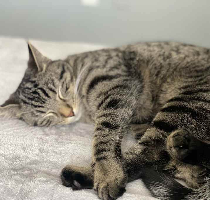 Photo of Princess