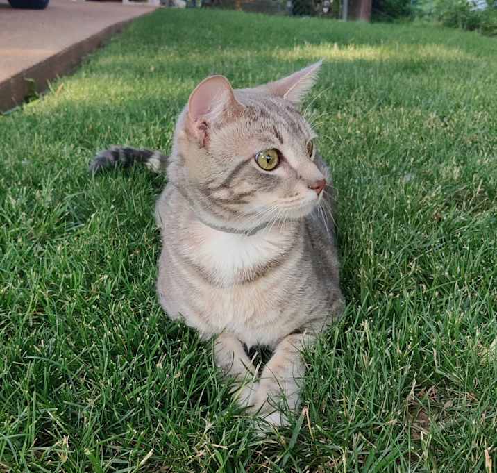 Photo of Oliver