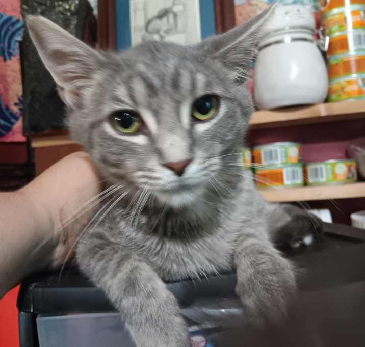 Photo of Luca