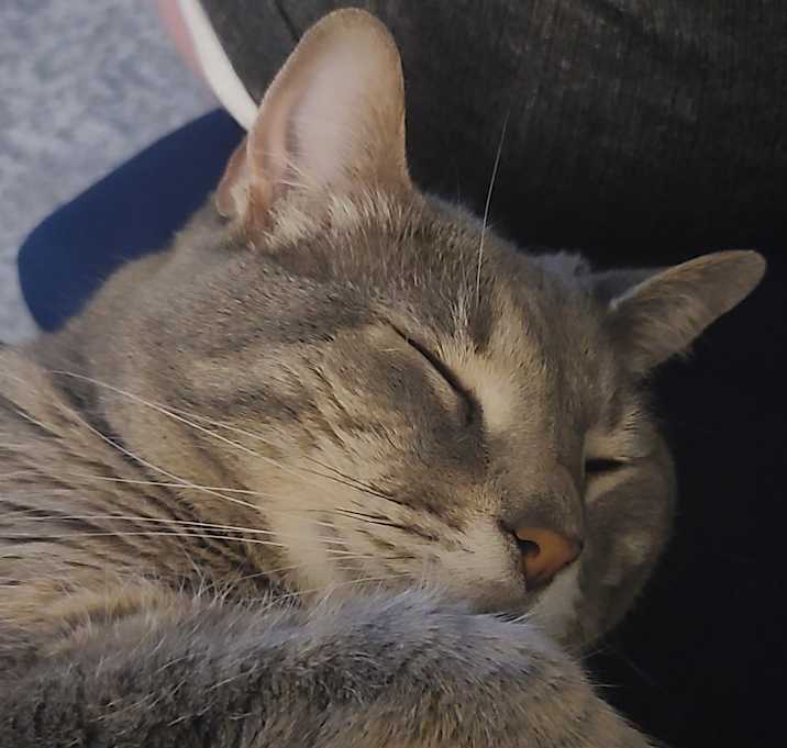 Photo of Winnie