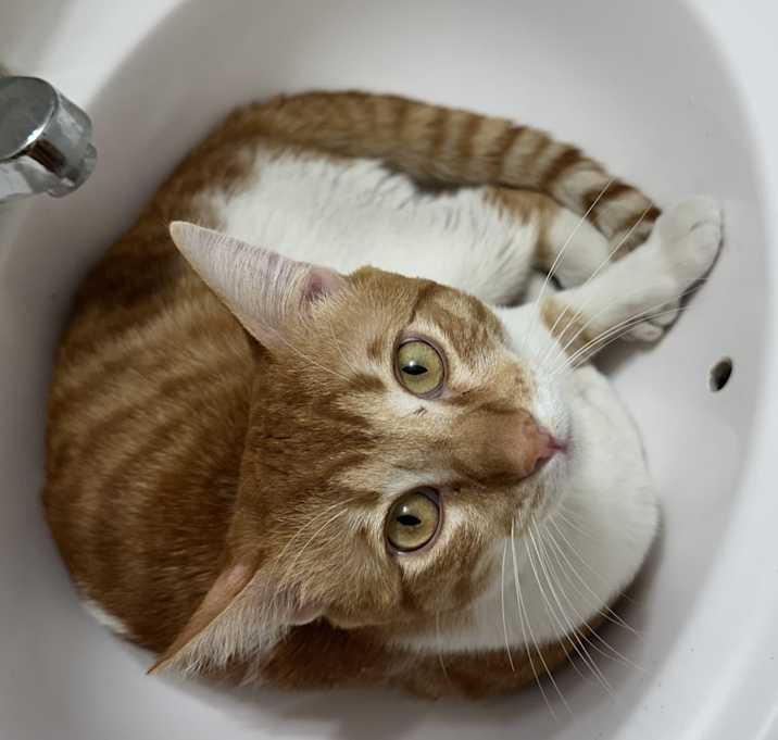 Photo of Charlie