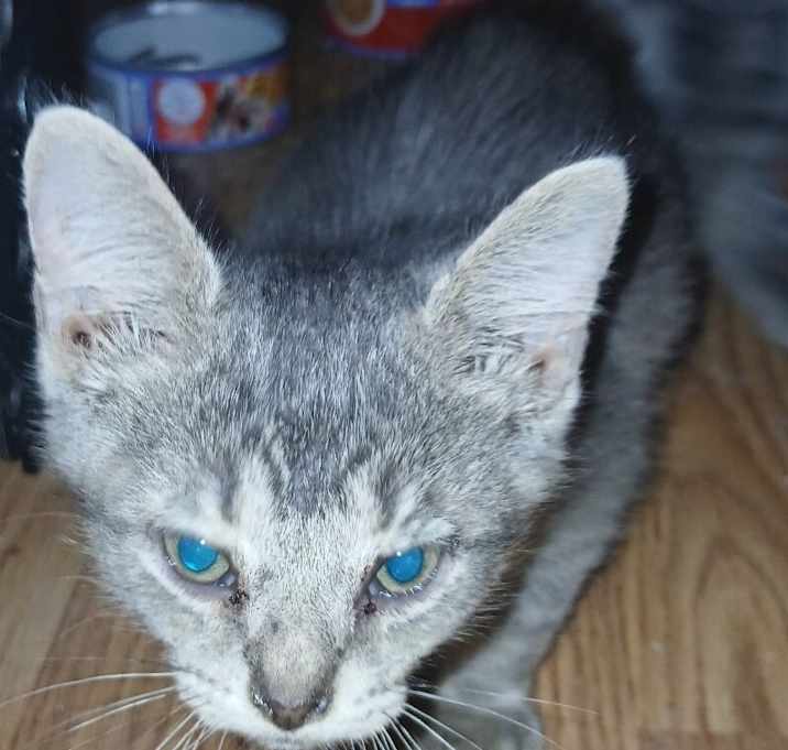 Photo of Moe