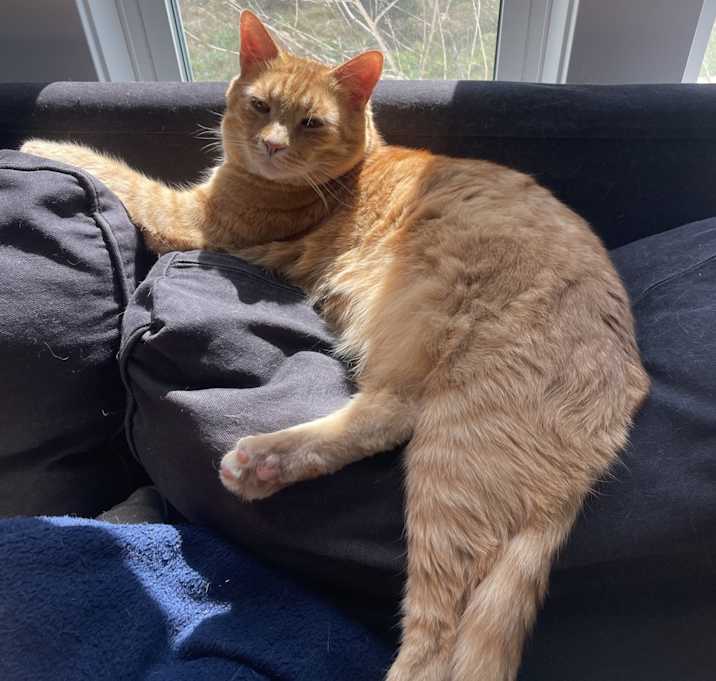 Photo of Mo