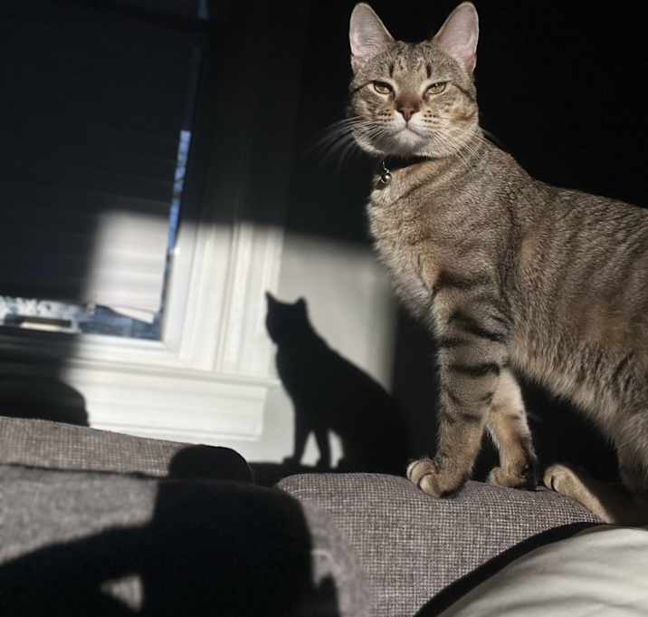 Photo of Frank