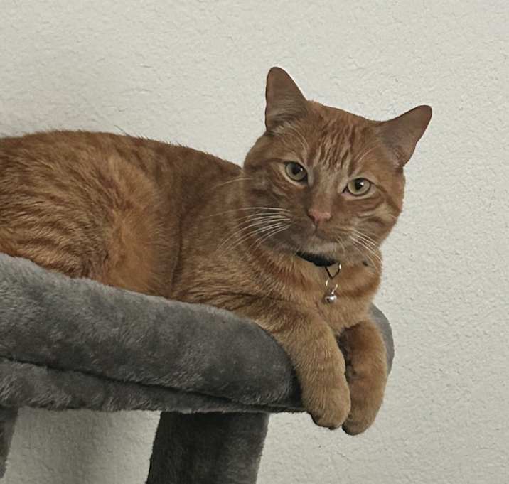 Photo of Buster