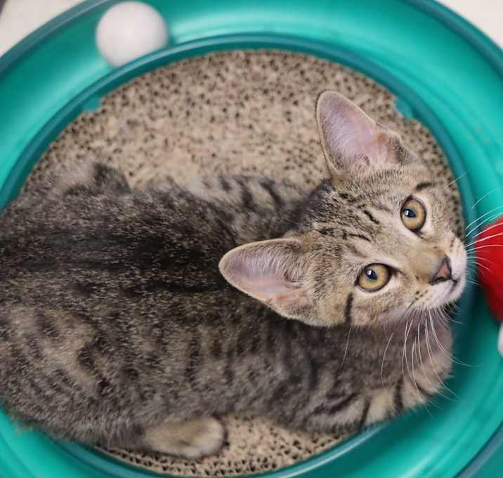 Photo of Farrah