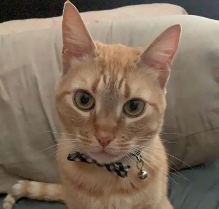 Photo of PJ