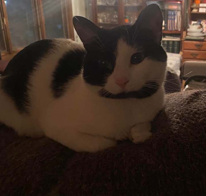 Photo of Minnie