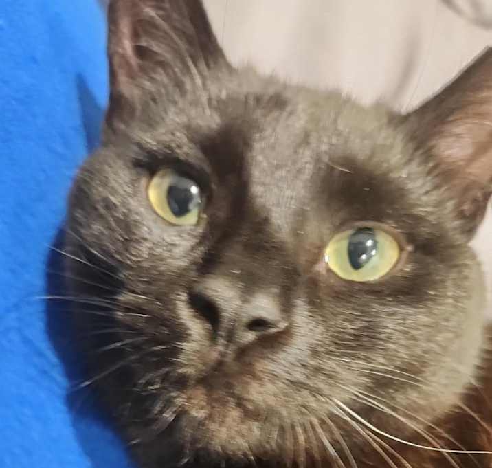 Photo of Zoro