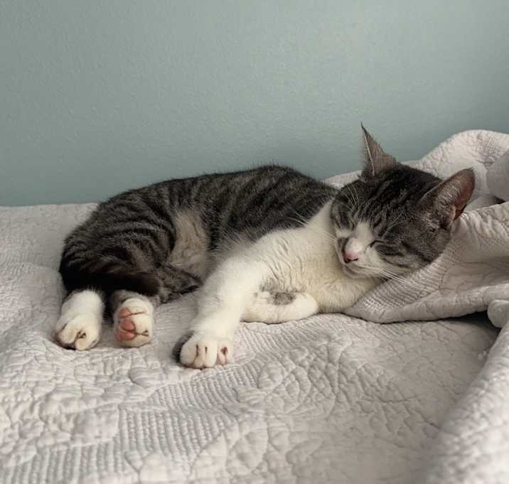 Photo of princess caroline