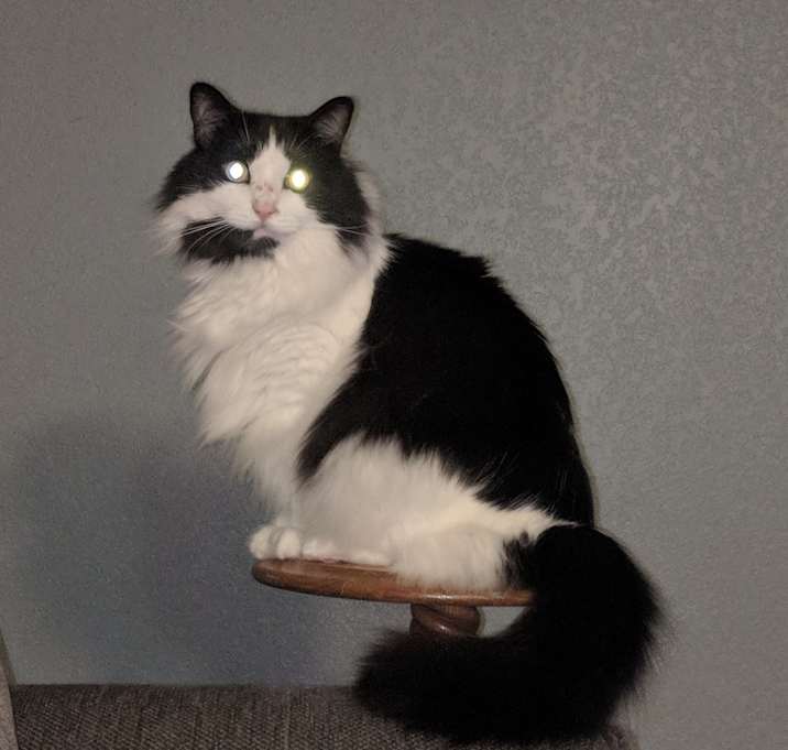 Photo of Ahri