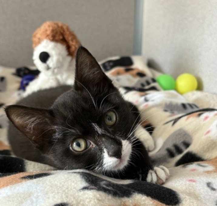 Photo of Betsy