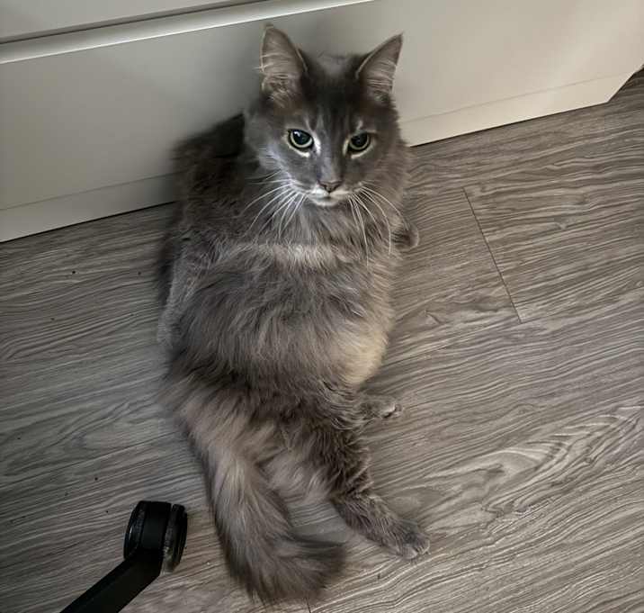 Photo of Sammie