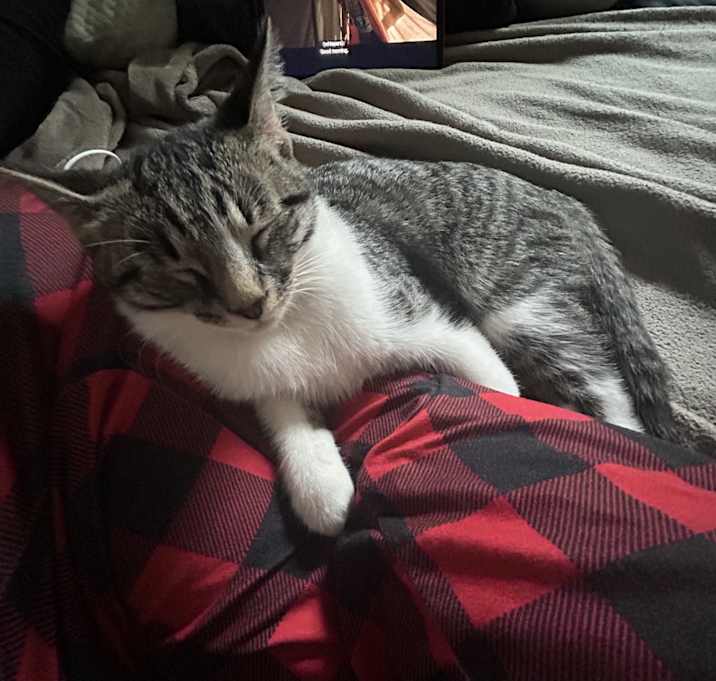 Photo of Kiko