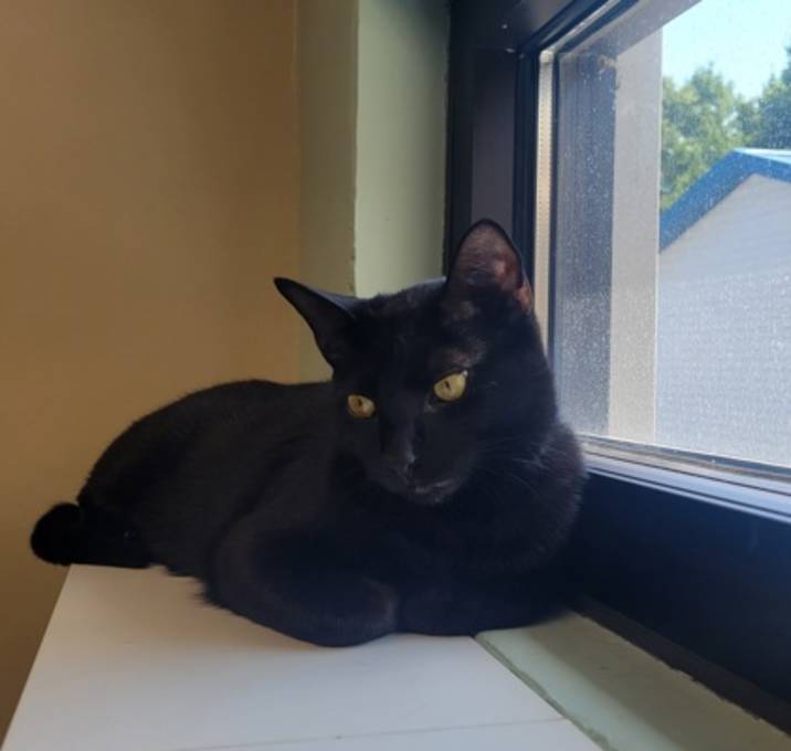 Photo of Paris [Bonded to Squirtle]