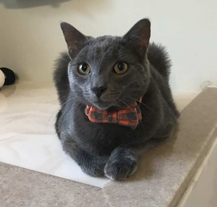 Photo of Winston
