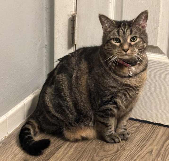 Photo of Mimi
