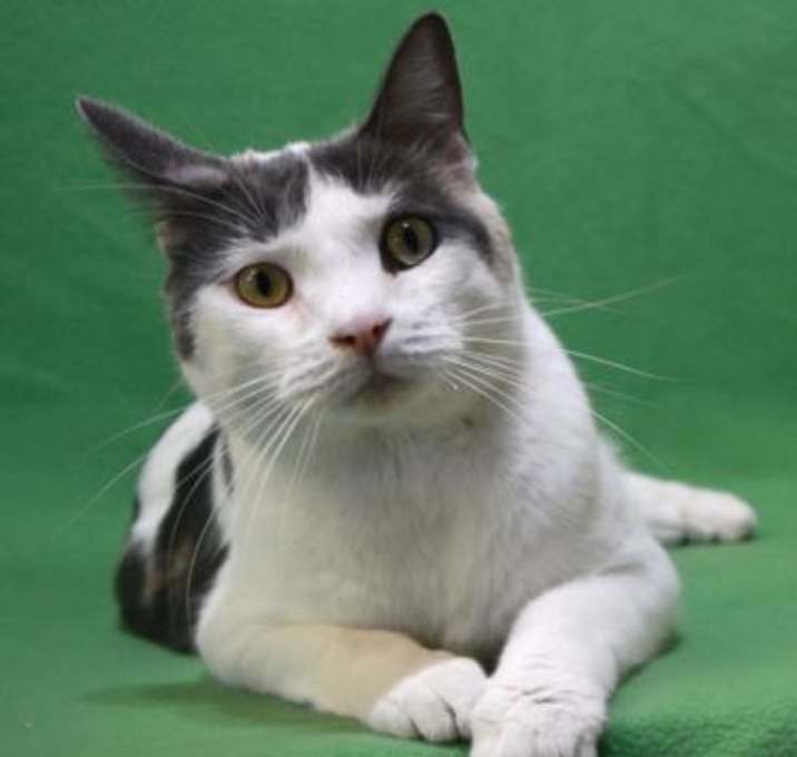Photo of Nela