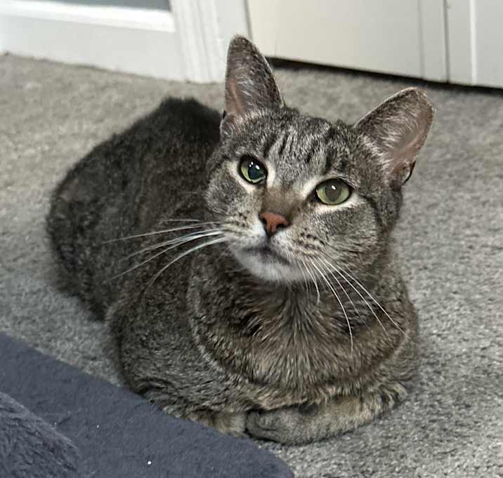 Photo of Molly